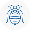 Bed Bug Extermination In Stratford Upon Avon